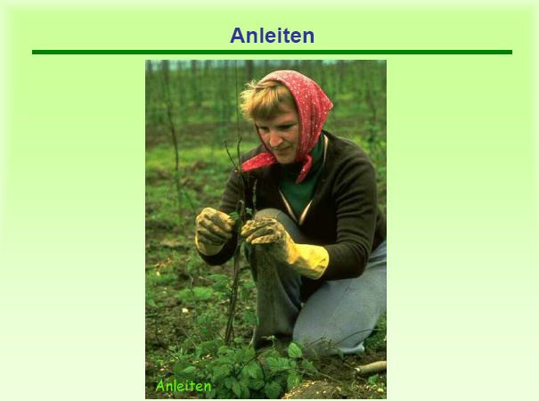 Anleiten