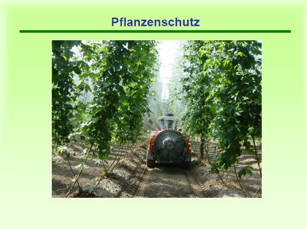 Pflanzenschutz
