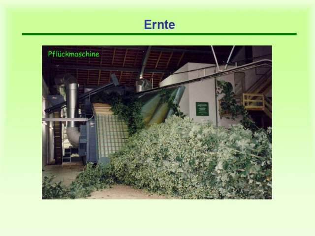 Ernte-Pflückmaschine