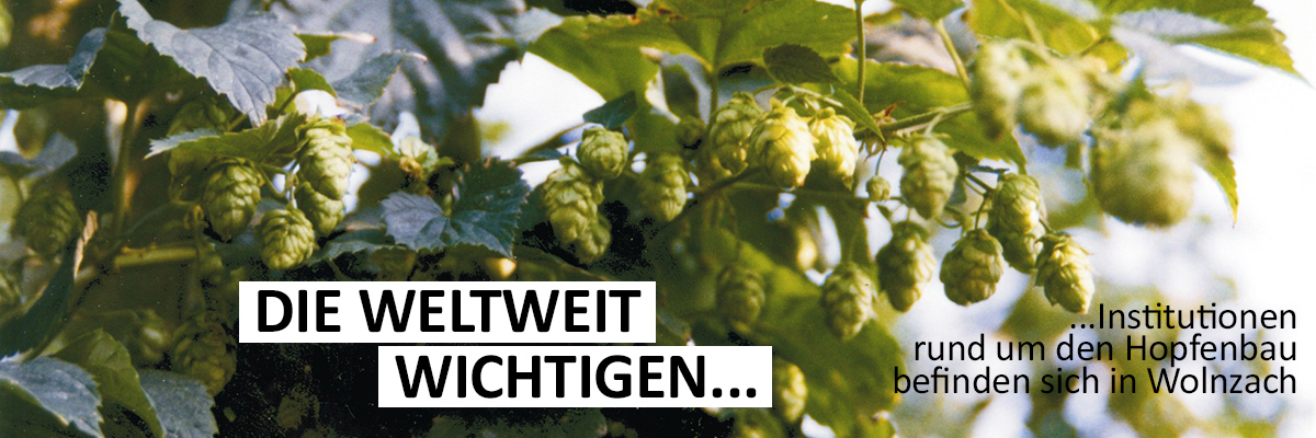 Hopfen Header Neu