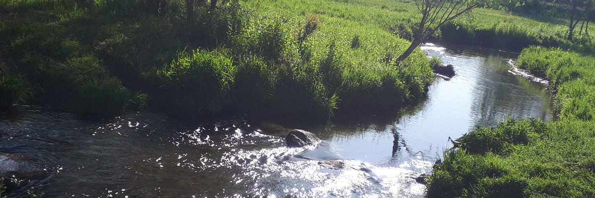Slider 2020 an der Wolnzach