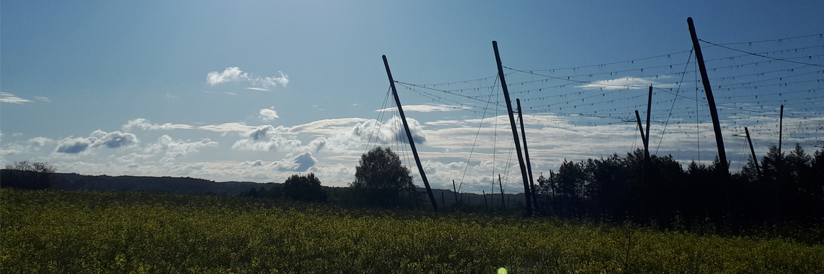 Slider 2020 Hopfengarten im Frühjahr