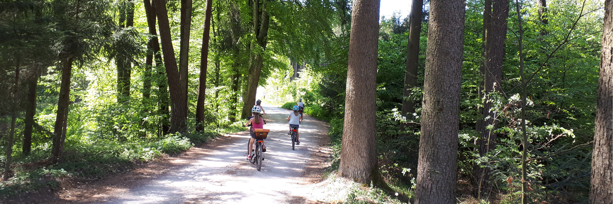 Slider 2020 Waldweg mt Fahrrad und Kindern