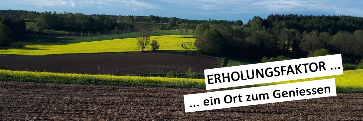 Slider 2020 Landschaft mit Rapsfelder Erholungsfaktor