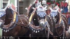 Filmclub Wolnzach: Hallertauer Volksfestauszug 2019