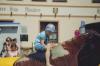 Bild 15