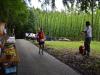 Bild 17