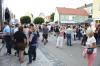 Bild 31