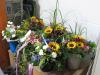 Bild 14