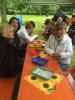 Bild 17